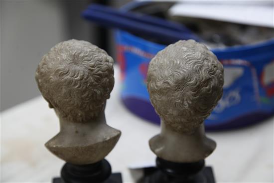 A set of four early 19th century Grand Tour alabaster Heads of Caesar 7in.